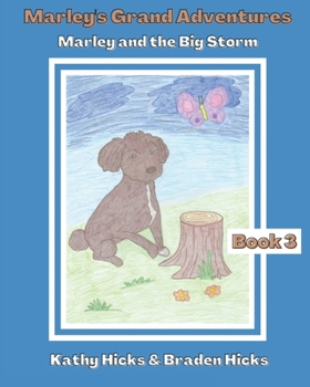 Paperback Marley and the Big Storm Book