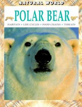Hardcover Polar Bear Book