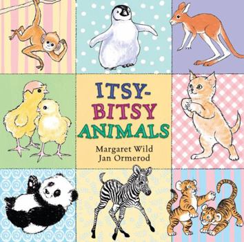 Paperback Itsy-Bitsy Animals Book
