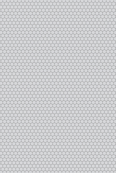 Stone Paper Honeycomb Disco Notebook