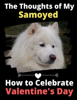 The Thoughts of My Samoyed: How to Celebrate Valentine's Day