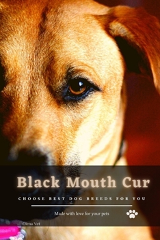 Paperback Black Mouth Cur: Choose best dog breeds for you Book