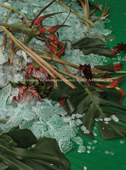 Abbas Akhavan: Variations on a Garden