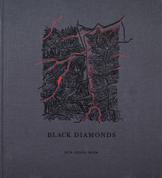 Hardcover Black Diamonds Book