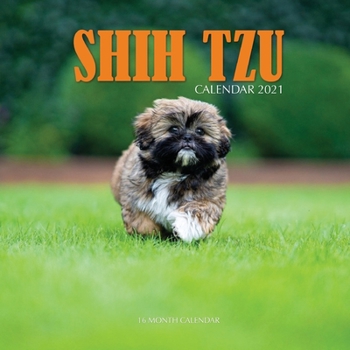 Paperback Shih Tzu Calendar 2021: 16 Month Calendar Book