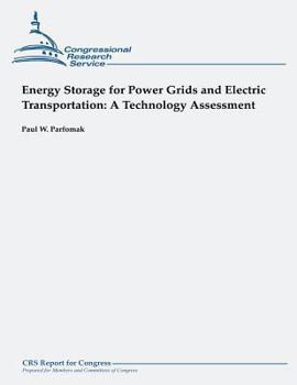 Paperback Energy Storage for Power Grids and Electric Transportation: A Technology Assessment Book