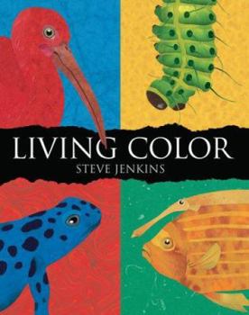 Hardcover Living Color Book