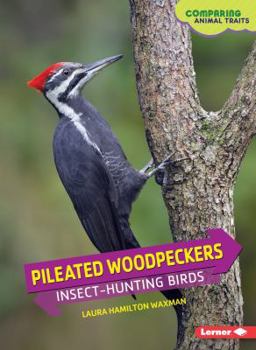 Paperback Pileated Woodpeckers: Insect-Hunting Birds Book