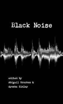 Paperback Black Noise Book