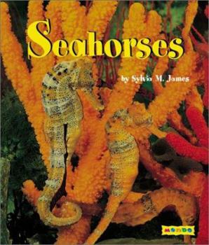 Paperback Seahorses Book