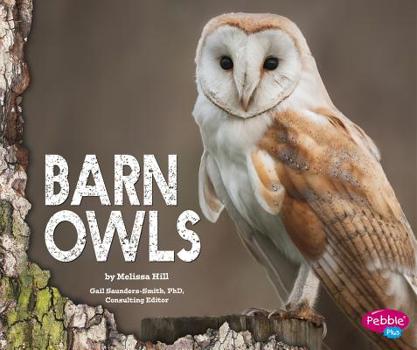 Hardcover Barn Owls Book