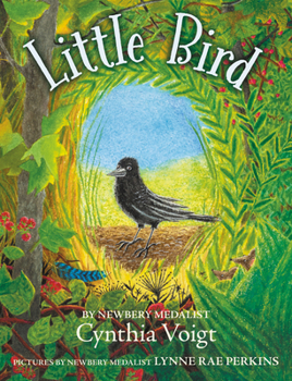 Hardcover Little Bird Book