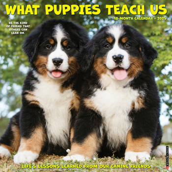 Calendar What Puppies Teach Us 2025 12 X 12 Wall Calendar Book