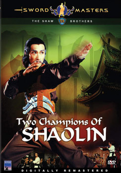 DVD Sword Masters: Two Champions of Shaolin Book