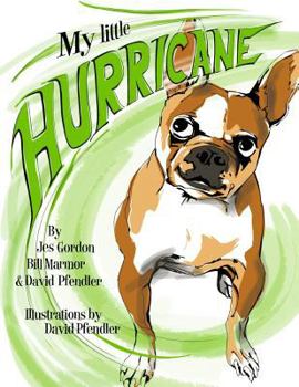 Paperback My Little Hurricane Book