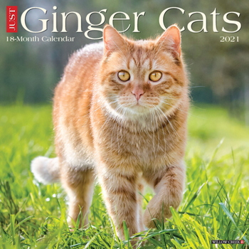 Calendar Just Ginger Cats 2021 Wall Calendar Book