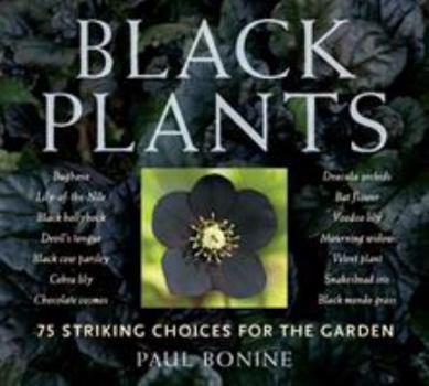 Black Plants: 75 Striking Choices for the Garden