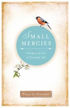 Paperback Small Mercies: Glimpses of God in Everyday Life Book