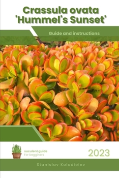 Paperback Crassula ovata 'Hummel's Sunset': Succulent Handbook: Complete Guide to Growing Succulent Plant Book