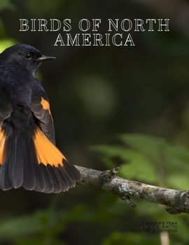 Paperback Birds of North America: A Birder's Year Book