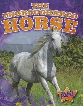 The Thoroughbred Horse - Book  of the Horse Breed Roundup
