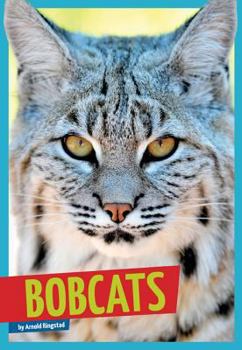 Library Binding Bobcats Book