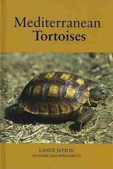 Hardcover Mediterranean Tortoises. Lance Jepson Book