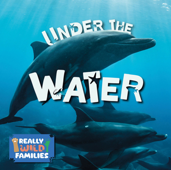 Paperback Under the Water Book