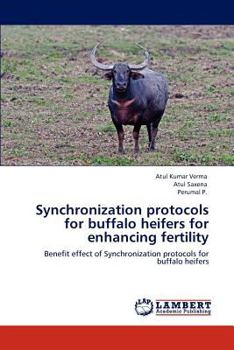 Paperback Synchronization protocols for buffalo heifers for enhancing fertility Book