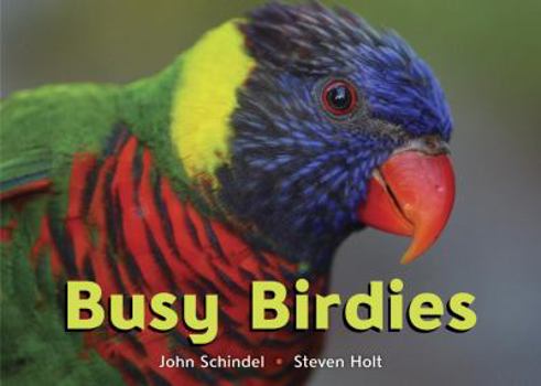 Board book Busy Birdies Book
