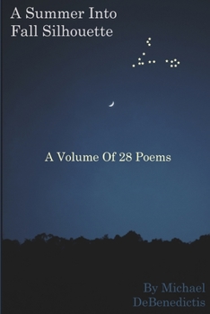 Paperback A Summer Into Fall Silhouette Book