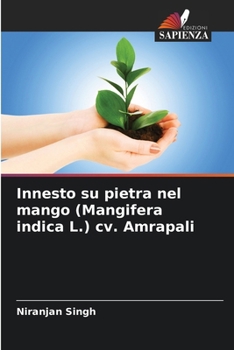 Paperback Innesto su pietra nel mango (Mangifera indica L.) cv. Amrapali [Italian] Book