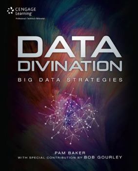 Paperback Data Divination: Big Data Strategies Book