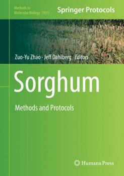 Hardcover Sorghum: Methods and Protocols Book