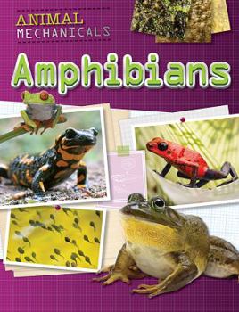 Library Binding Amphibians Book