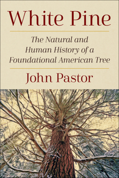 Paperback White Pine: The Natural and Human History of a Foundational American Tree Book