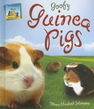 Library Binding Goofy Guinea Pigs Book