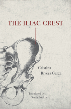 Paperback The Iliac Crest Book
