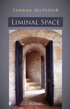Paperback Liminal Space Book