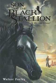 Son of the Black Stallion (The Black Stallion, #3) - Book #3 of the Blitz