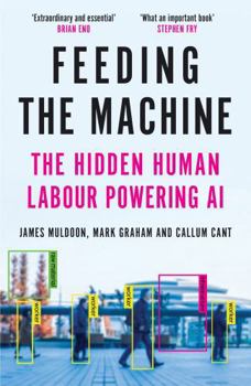 Feeding the Machine: The Hidden Human Labour Powering AI