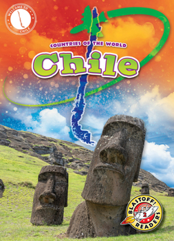 Library Binding Chile Book