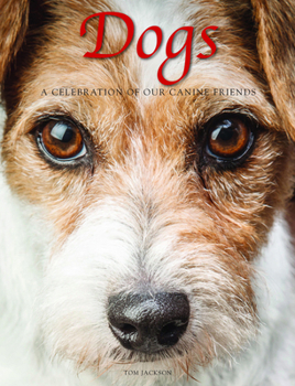 Hardcover Dogs: A Celebration of Our Canine Friends Book