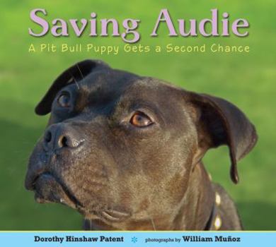 Hardcover Saving Audie: A Pit Bull Puppy Gets a Second Chance Book