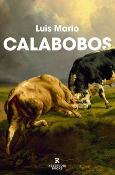 Paperback Calabobos / Drizzle [Spanish] Book