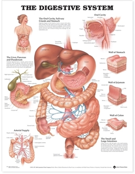 Hardcover The Digestive System Anatomical Chart Book