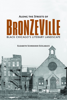 Along the Streets of Bronzeville: Black Chicago's Literary Landscape - Book  of the New Black Studies Series