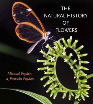 The Natural History of Flowers - Book  of the Gideon Lincecum Nature and Environment Series