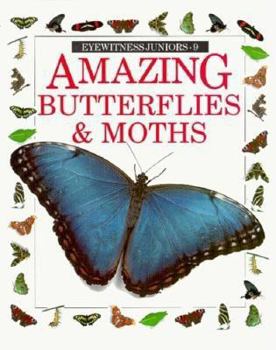 Hardcover Amazing Butterflies and Moths (Eyewitness Juniors) Book