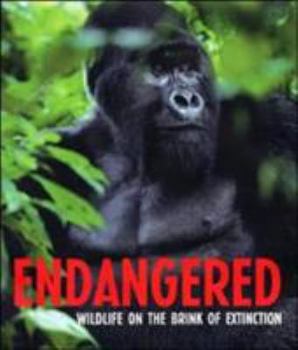 Hardcover Endangered: Wildlife on the Brink of Extinction Book